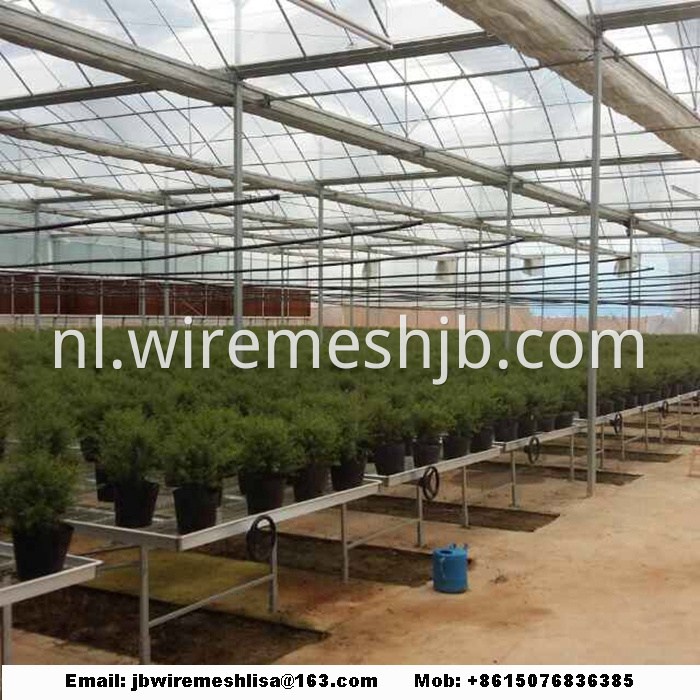 Galvanized Welded Wire Mesh Greenhouse Rolling Benches